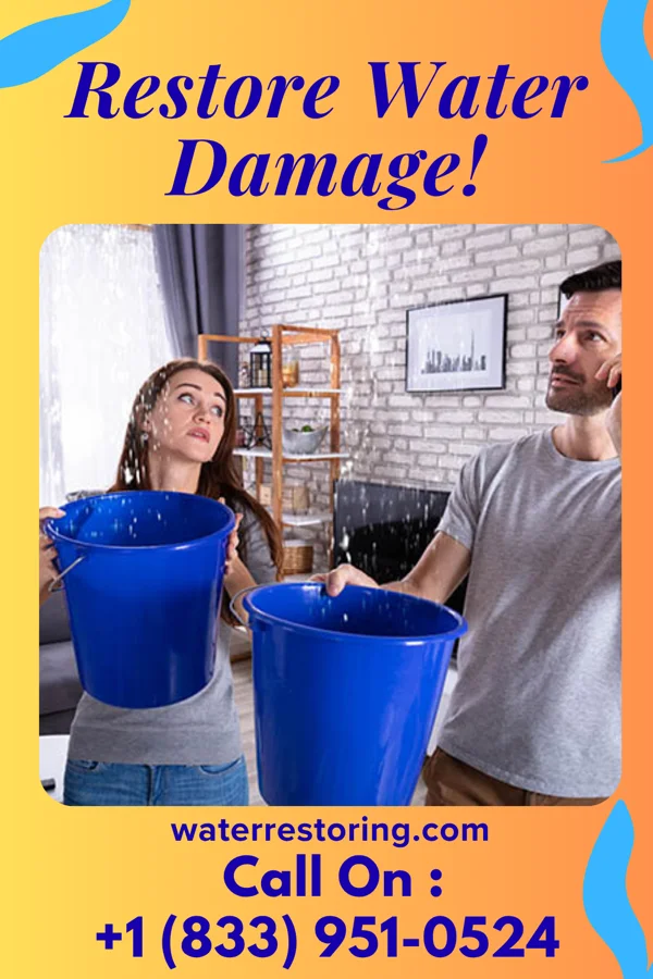 water restoration Eco Emergency Restoration Edwardsville