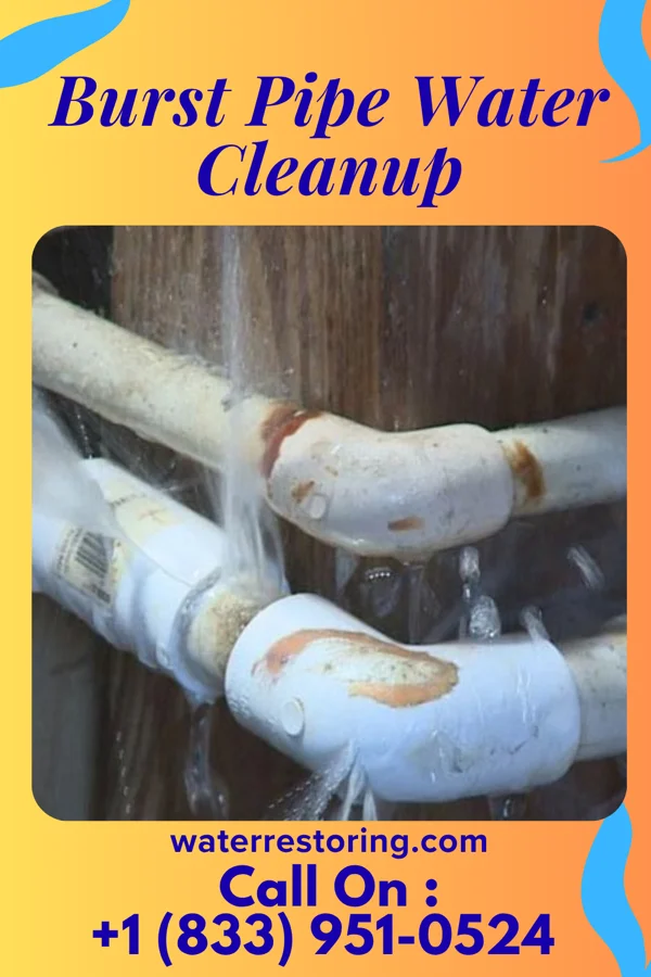 Burst Pipe Water Cleanup in Edwardsville, PA