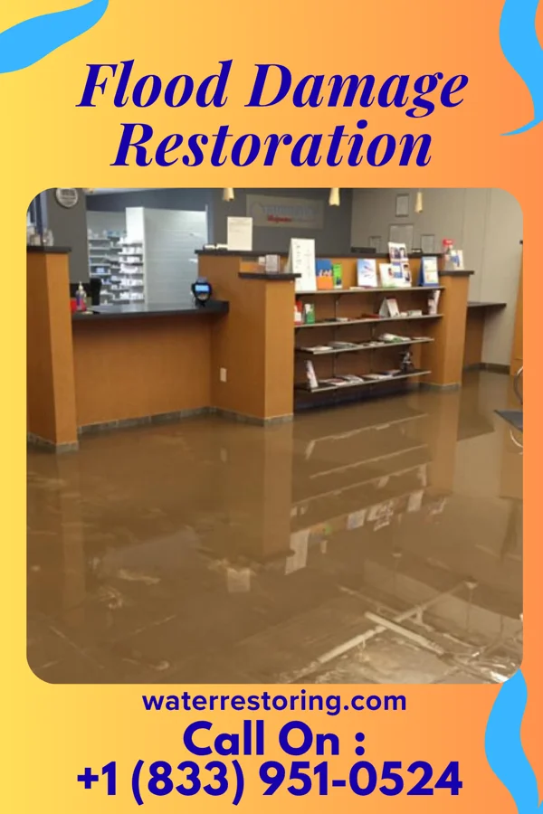 Flood Damage Restoration in Edwardsville, PA