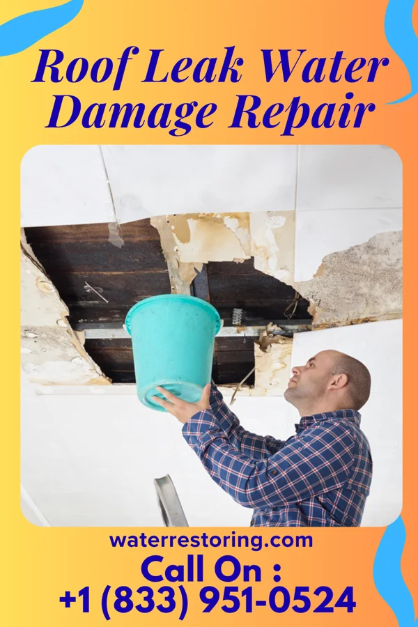 Roof Leak Water Damage Repair in Edwardsville, PA