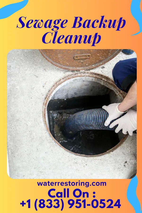 Sewage Backup Cleanup in Edwardsville, PA