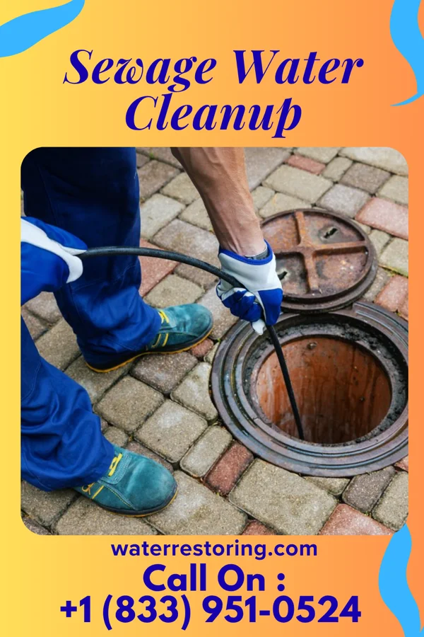 Sewage Water Cleanup in Edwardsville, PA