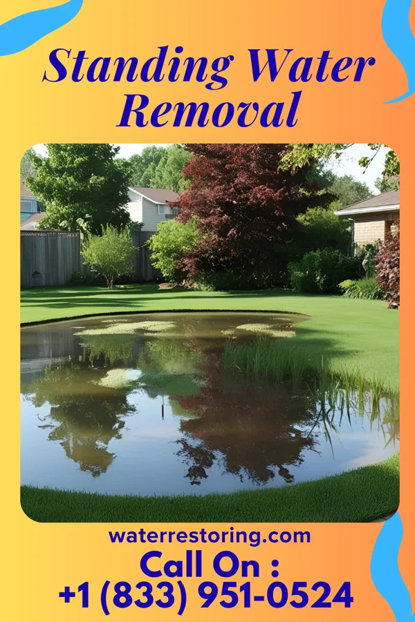 Standing Water Removal in Edwardsville, PA